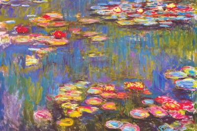 Water Lilies Landscape