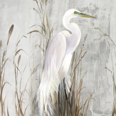 Heron in the Reeds