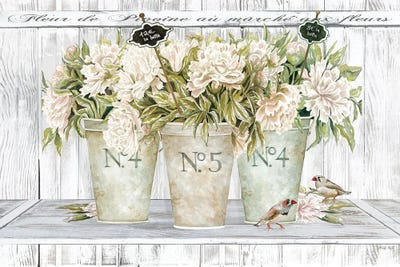 French Peonies Still Life II