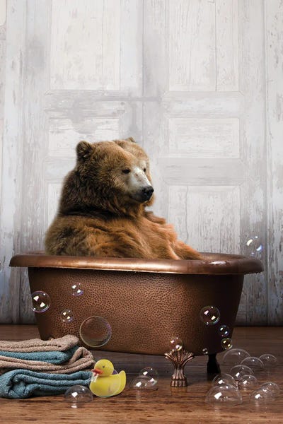 Bear In The Tub