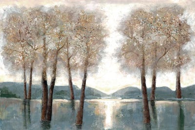 Approaching Woods