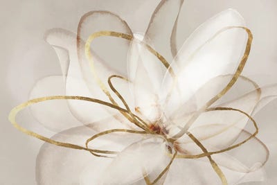 Transparent Beauty III