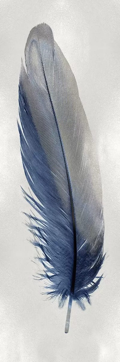 Blue Feather On Silver I
