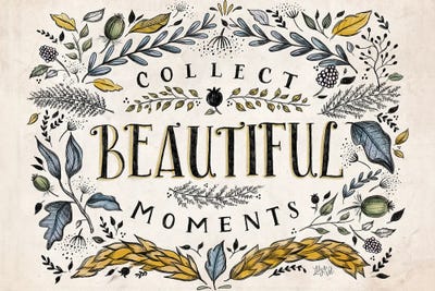 Collect Beautiful Moments