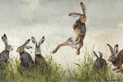 Hijinx