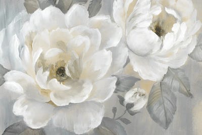 Perfect Peonies