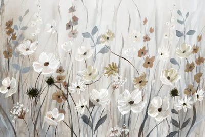 Misty Meadow Field