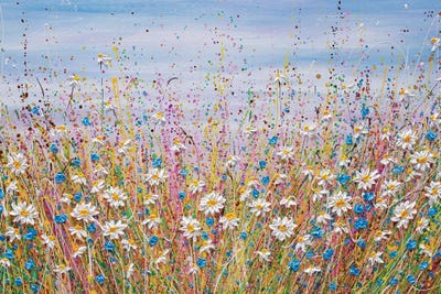 Summer Daisy Field