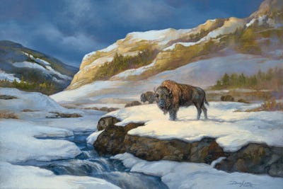 Buffalo