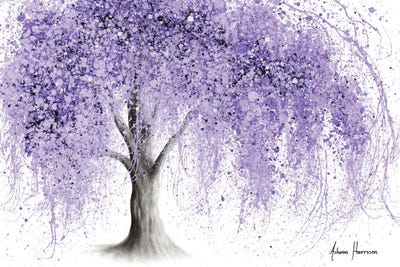 Purple Wishing Willow (2020)