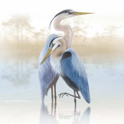 Misty Plumage II